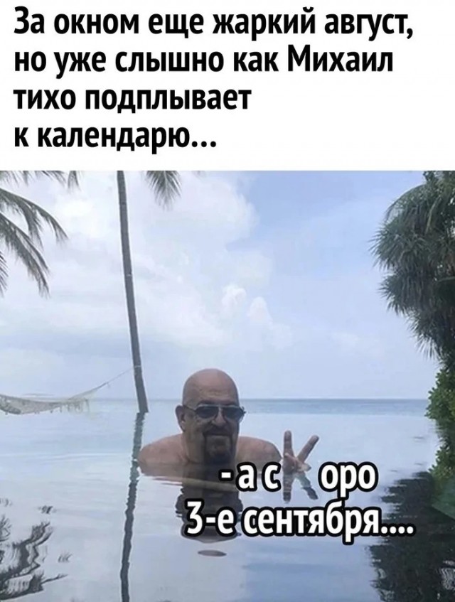 Веселое настроение в картинках (11.08.2025)