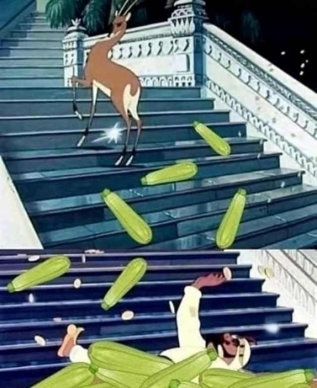 20330991.jpg
