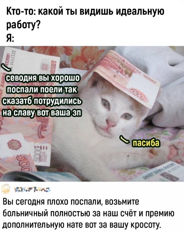 Немного картинок
