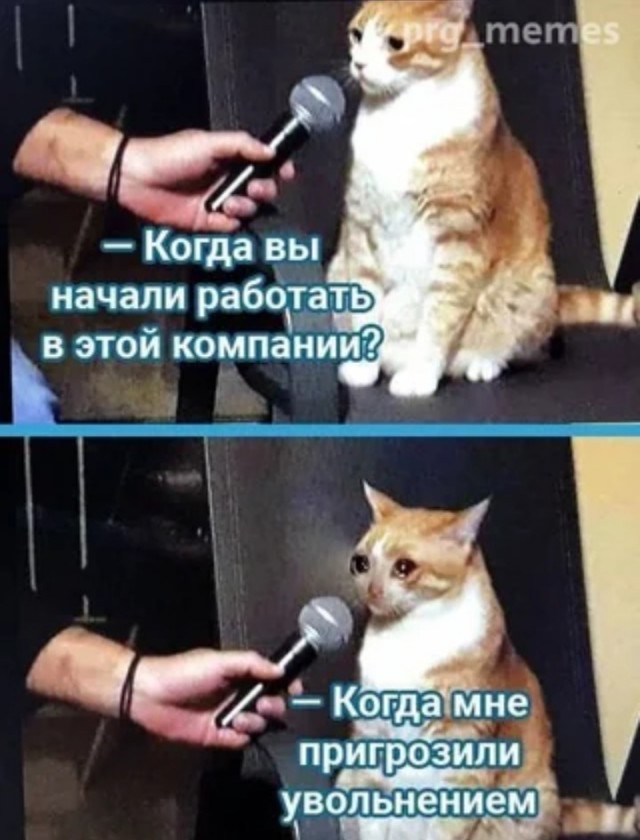 Убить мышь нетрадиционно