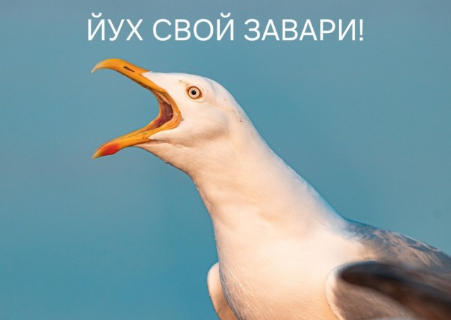 Необычные и странные доспехи рыцарей