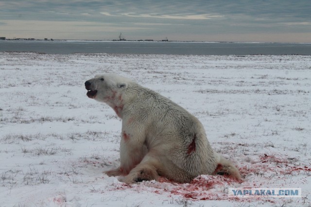 Cтанция Валькаркай