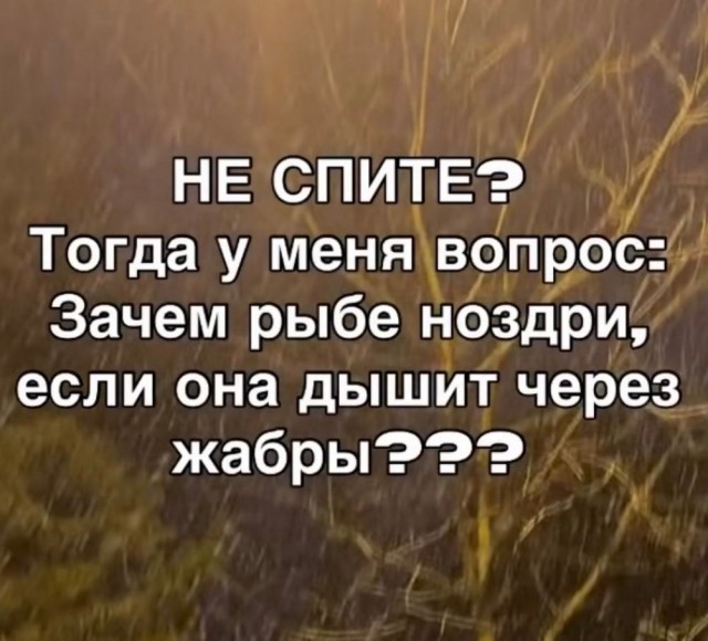 Картиночки, баянчики 20 января