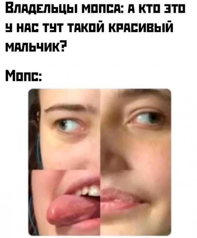 Среды картинки