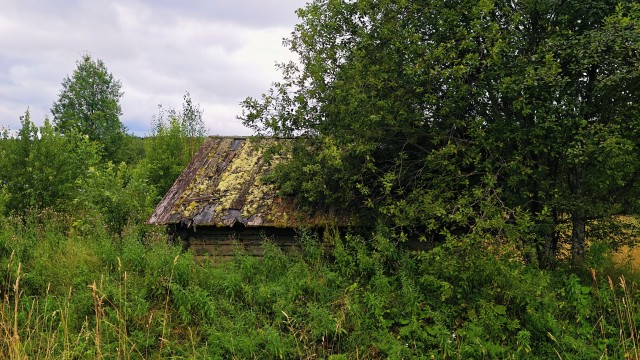 Сплав по Вишере от 71 квартала до Красновишерска.