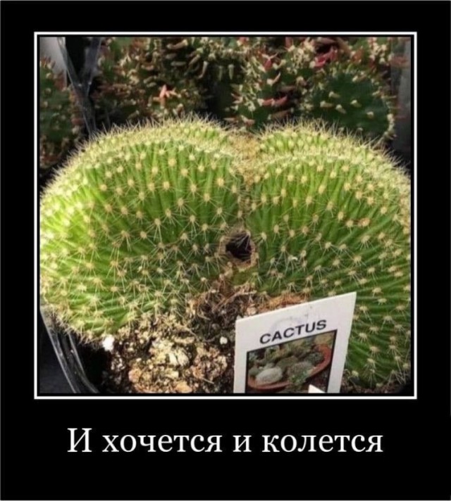 ICQ 0.0000000000000004