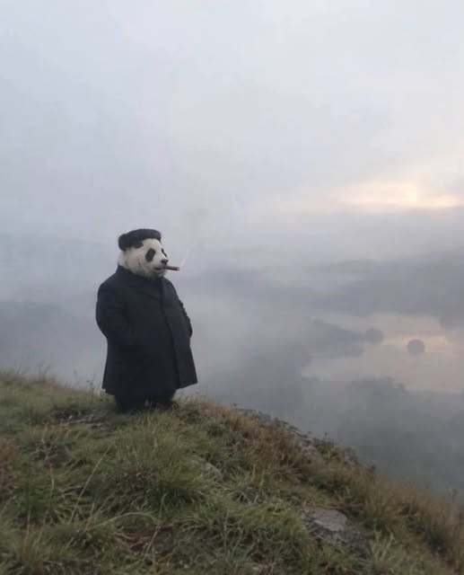 Картинки на среду