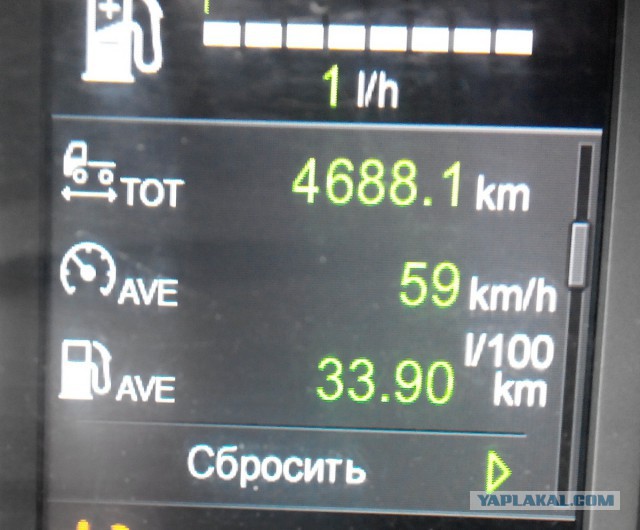 Озеленение Владивостока.