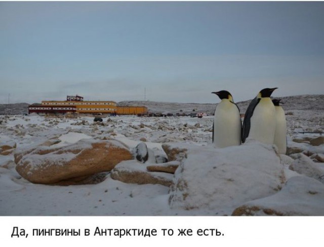 Жизнь на исследовательской станции в Антарктиде