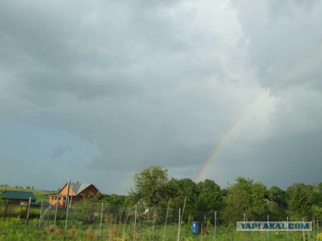 Про лето, грибы и сырное печенье