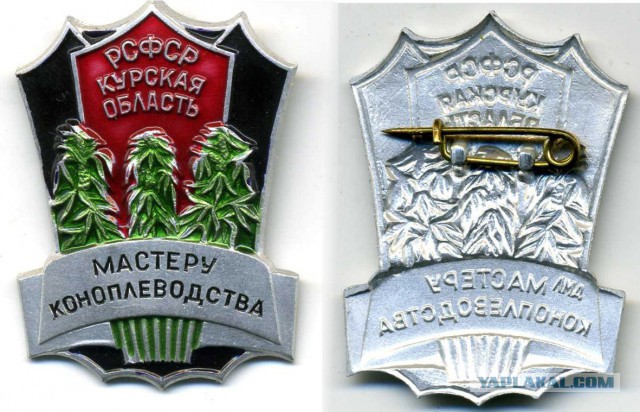 Нина спектор молодец