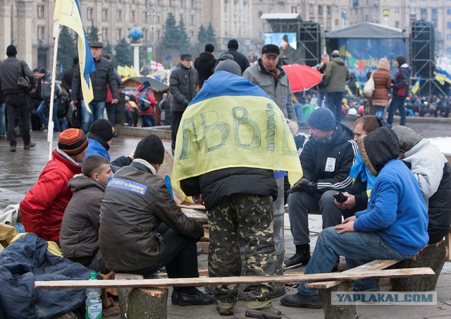 Это они выскакали десятки тысяч трупов