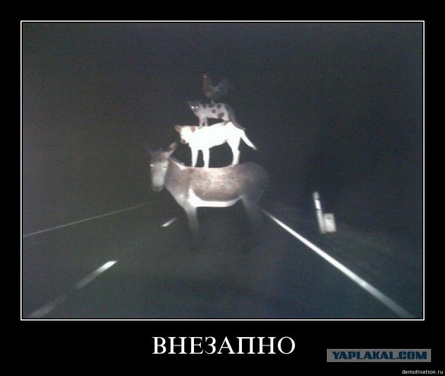 Мы такие разные… И все-таки мы вместе!