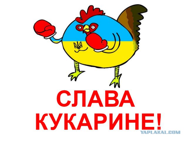 Ответ украинцам о добровольцах из России