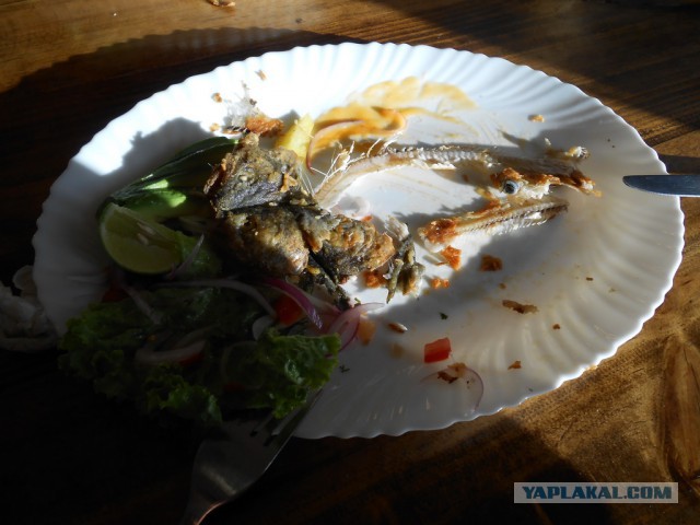 Рыбная ферма. Эквадор