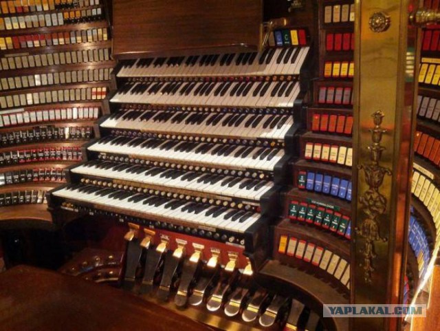 Сколько весит арфа? Для чего на арфе 7 педалей? Арфистка обязана быть сороконожкой?