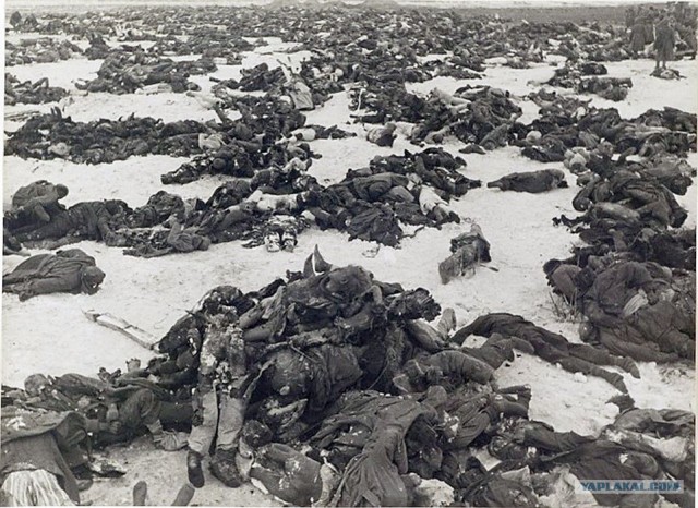 Сталинградская Битва. (70лет!)