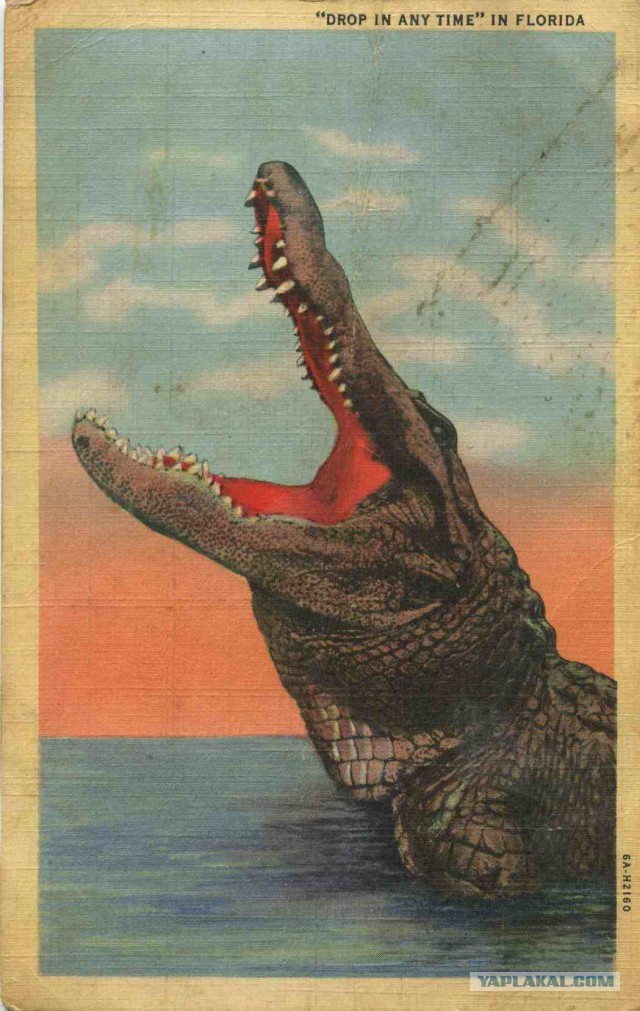 Американские открытки 1940-х годов