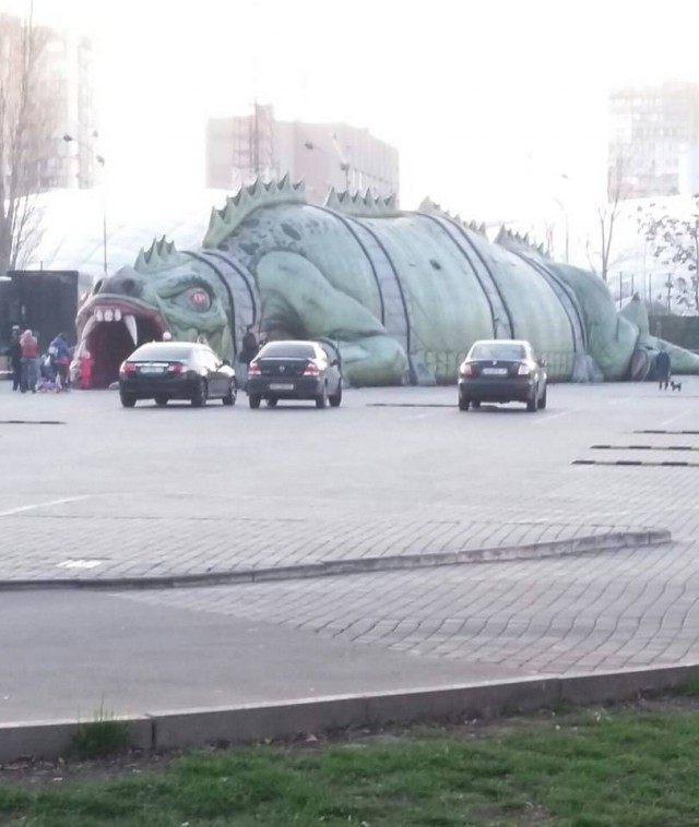 Подборка интересных и веселых фото