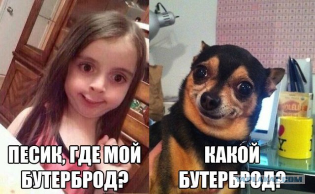 Подборка странных картинок с не менее странными надписями