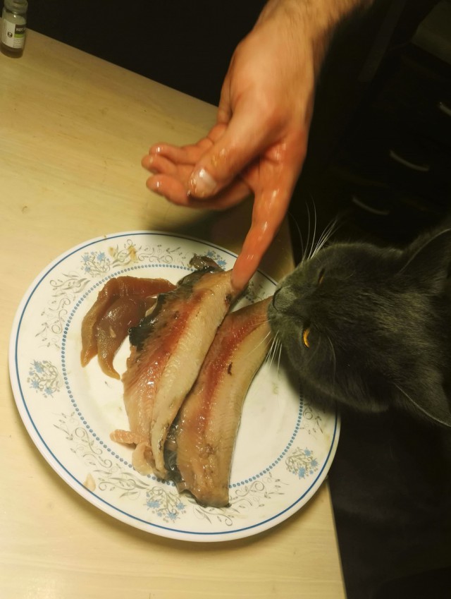 Форшмак из селедки (классический)