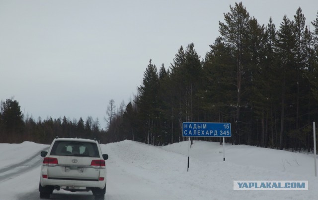 Новый Уренгой-Надым, покатушки  в выходные на День Оленевода