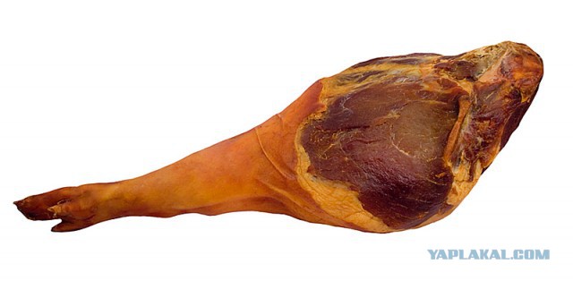 Синтольщик из Пятигорска Кирилл Терешин