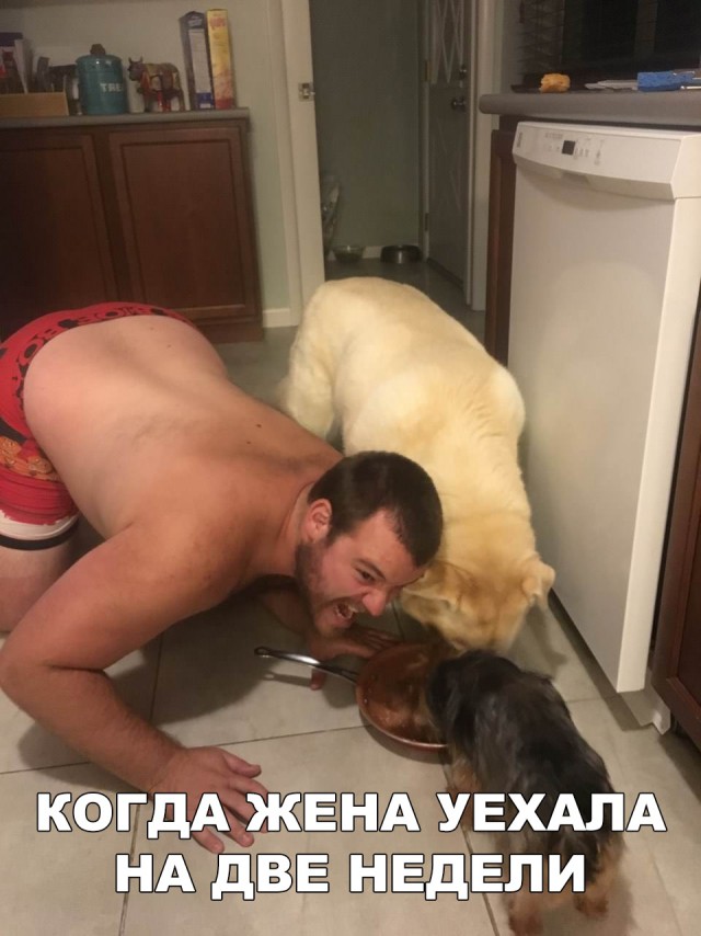 Нестандартный юмор