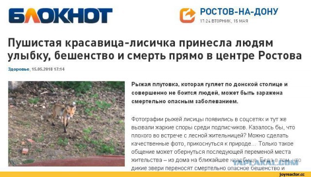 Бешенство. Очень толковое описание