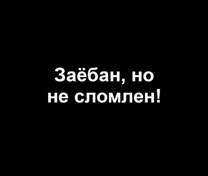 Мы не виноваты