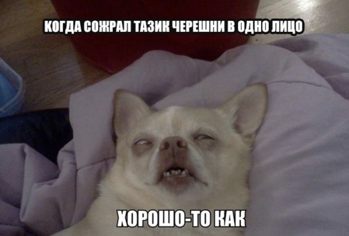 Чуток картинок 09.06.19
