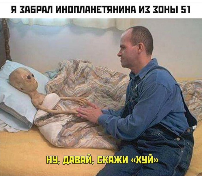 Применим физику в постели или белка и стрелка. Картинки