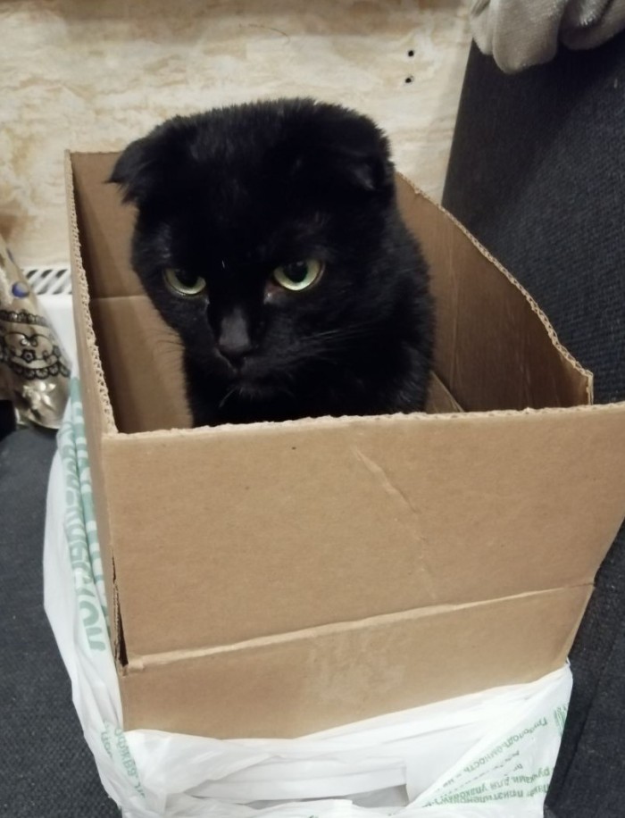 Paзнoвиднocти тьмы