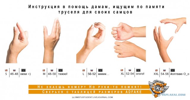 Памятка дамам в мужском отделе