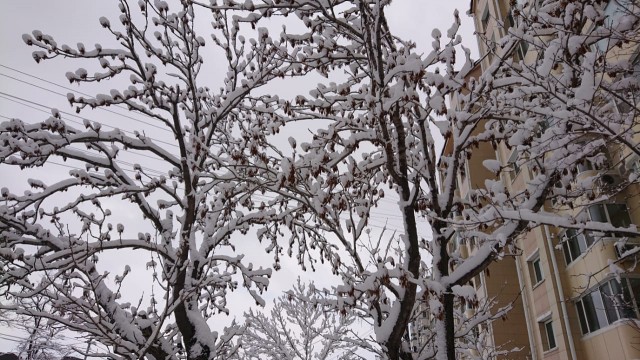 Вот и первые ласточки карантинного режима
