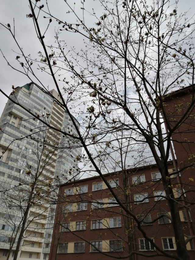 Откровение плохого папы