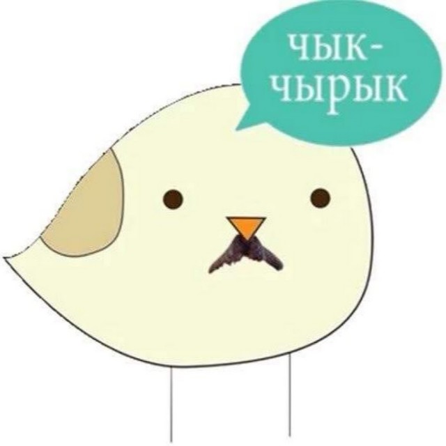27 мая. США возобновляют полёты людей в космос