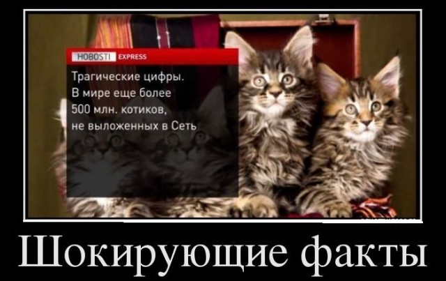 Результат раскопок на моем компе. Картинки разные, архивные, бессистемные
