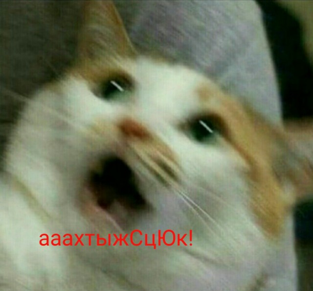 Привет, Друкк!