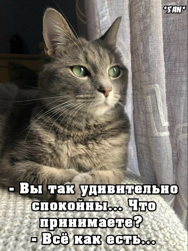 Картинки и мемы для настроения 023
