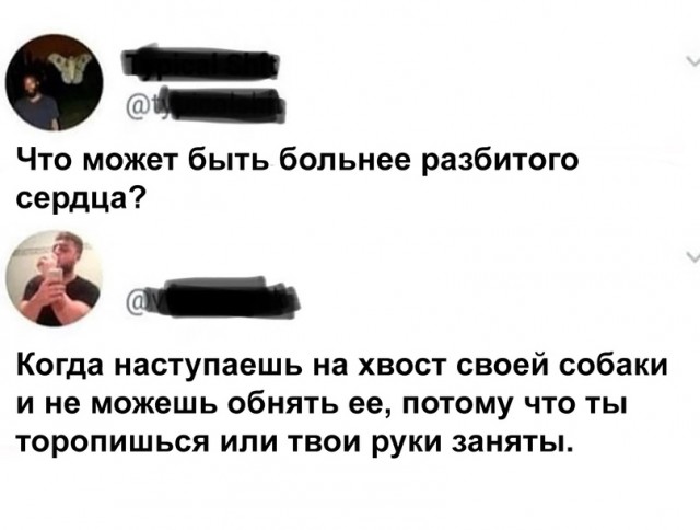 Весёлый полтишок 18.05