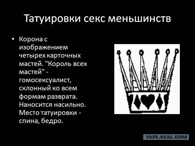 Политзаключённый с волчьим билетом