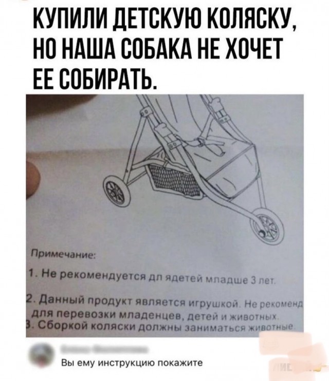 Картинки и мемы всем прекрасных выходных