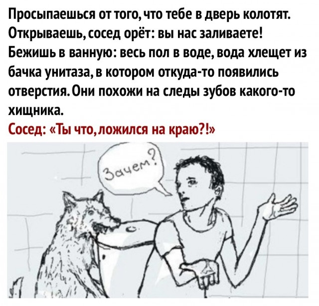 Чуток картинок 09.12.21