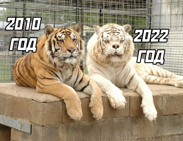 Разные картинки для настроения на любой вкус -11