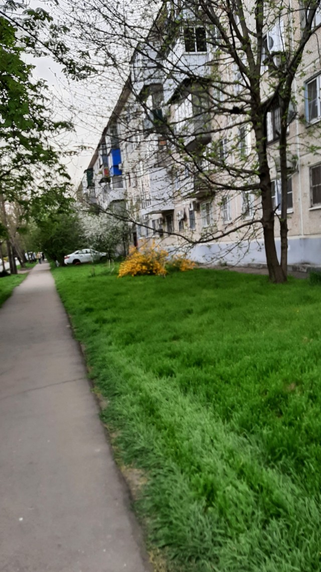 Фотки дворов Краснодара