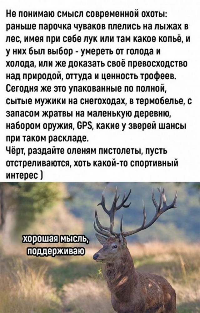 Картинки и мемы для настроения - 111