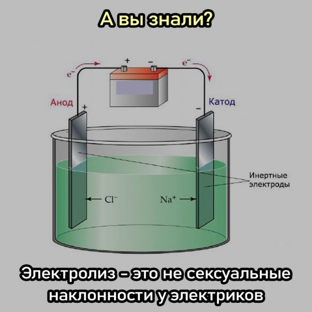 Весёлый полтишок 15.09.23