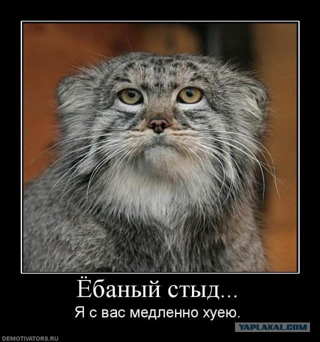 Свежие фотки Кристины Рэй