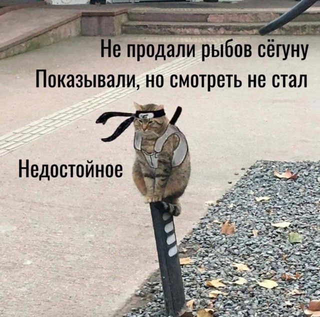 "- Показуй рыбов! – Их есть у меня"